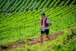 BIB: 
                            <button type="button" onclick="openModal(19161939)" class="btn btn-primary btn-sm float-right btn-popup" data-toggle="modal" data-target=".modal-high-quality">
                        <i class="fas fa-shopping-cart"></i> Add to Cart
                    </button>
                                            <button type="button" onclick="isThisMe(19161939, true)" class="btn btn-success btn-sm float-right btn-popup btn-isme hidden" data-toggle="tooltip" data-placement="bottom" title="นี่คือรูปของคุณใช่ไหม คลิกที่นี่เพื่อเอาเข้าอัลบั้ม">
                        <i class="fas fa-plus"></i> Add to album
                    </button>
                    <button type="button" onclick="isThisMe(19161939, false)" class="btn btn-warning btn-sm float-right btn-popup btn-isnotme hidden">
                        <i class="fas fa-ban"></i> Remove from album
                    </button>